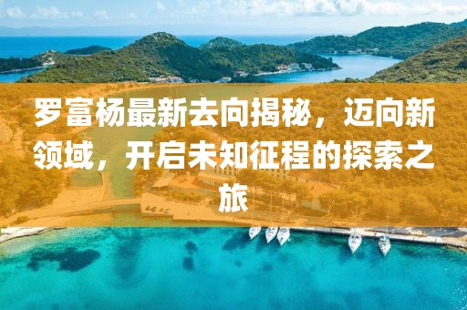 罗富杨最新去向揭秘，迈向新领域，开启未知征程的探索之旅