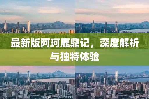 最新版阿珂鹿鼎记，深度解析与独特体验
