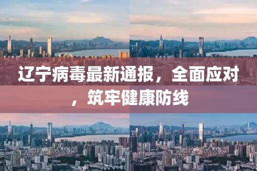 辽宁病毒最新通报，全面应对，筑牢健康防线
