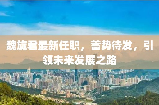 魏旋君最新任职，蓄势待发，引领未来发展之路