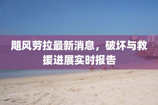 飓风劳拉最新消息，破坏与救援进展实时报告