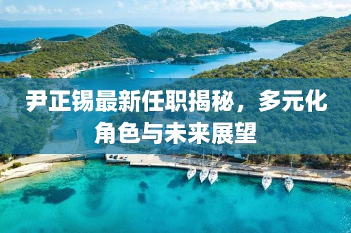 尹正锡最新任职揭秘，多元化角色与未来展望