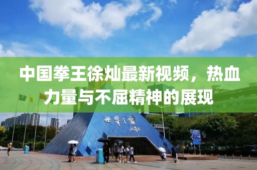 中国拳王徐灿最新视频，热血力量与不屈精神的展现
