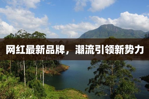 网红最新品牌，潮流引领新势力