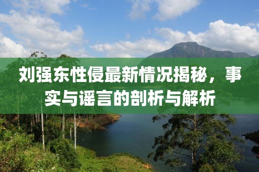 刘强东性侵最新情况揭秘，事实与谣言的剖析与解析
