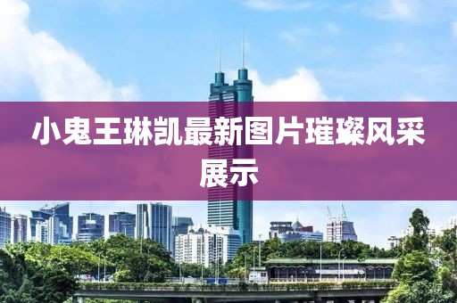 小鬼王琳凯最新图片璀璨风采展示