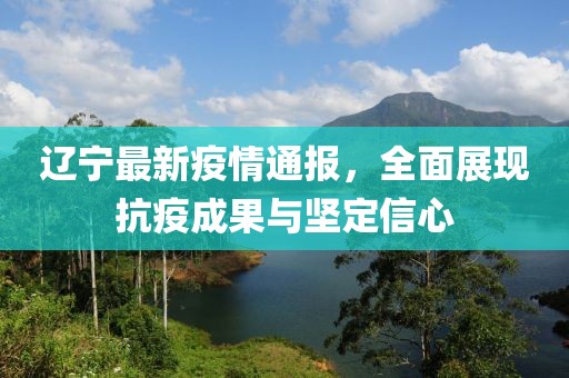 辽宁最新疫情通报，全面展现抗疫成果与坚定信心