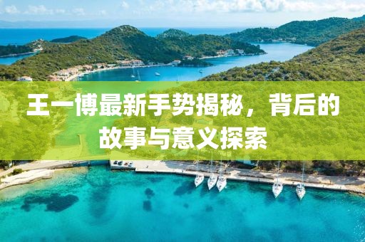 王一博最新手势揭秘，背后的故事与意义探索