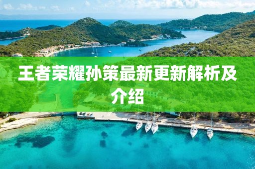 王者荣耀孙策最新更新解析及介绍