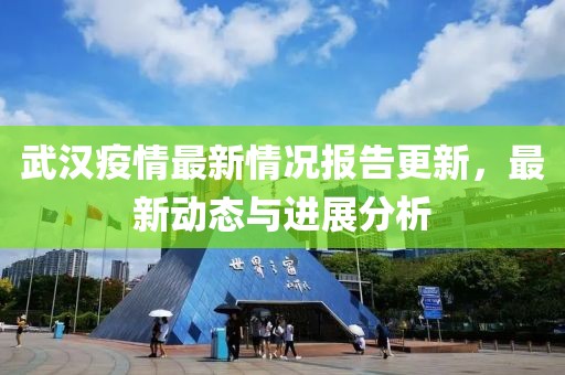 武汉疫情最新情况报告更新，最新动态与进展分析
