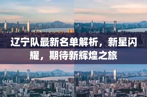 辽宁队最新名单解析，新星闪耀，期待新辉煌之旅