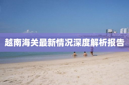 越南海关最新情况深度解析报告