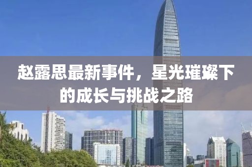 赵露思最新事件，星光璀璨下的成长与挑战之路