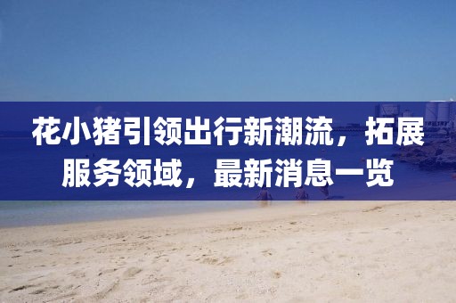 花小猪引领出行新潮流，拓展服务领域，最新消息一览