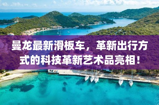 曼龙最新滑板车，革新出行方式的科技革新艺术品亮相！
