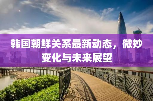 韩国朝鲜关系最新动态，微妙变化与未来展望