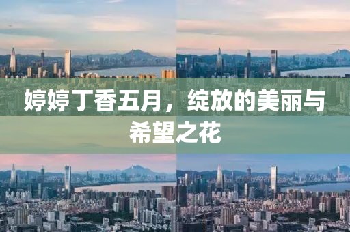 婷婷丁香五月，绽放的美丽与希望之花