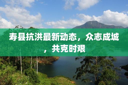 寿县抗洪最新动态，众志成城，共克时艰