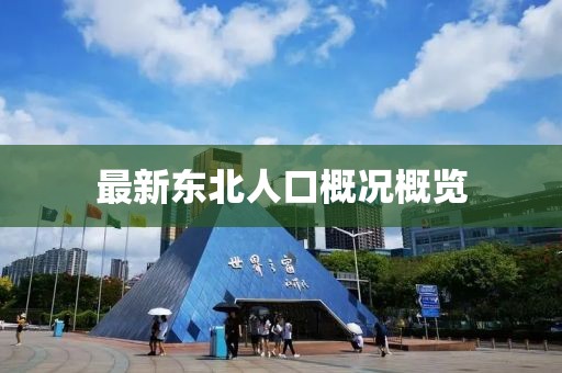 最新东北人口概况概览