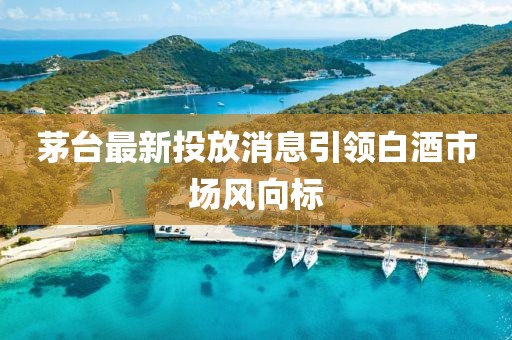茅台最新投放消息引领白酒市场风向标