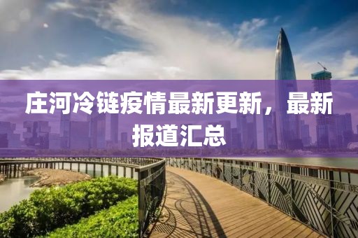 庄河冷链疫情最新更新，最新报道汇总