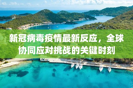 新冠病毒疫情最新反应，全球协同应对挑战的关键时刻