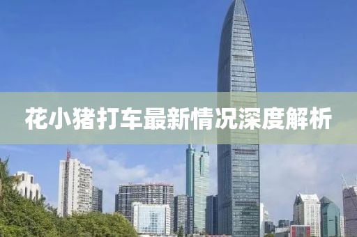 花小猪打车最新情况深度解析