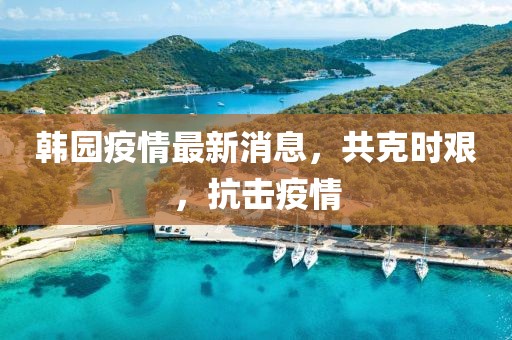韩园疫情最新消息，共克时艰，抗击疫情
