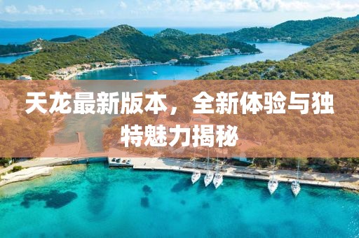 天龙最新版本，全新体验与独特魅力揭秘