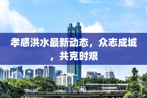 孝感洪水最新动态，众志成城，共克时艰