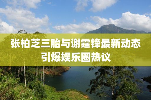 张柏芝三胎与谢霆锋最新动态引爆娱乐圈热议