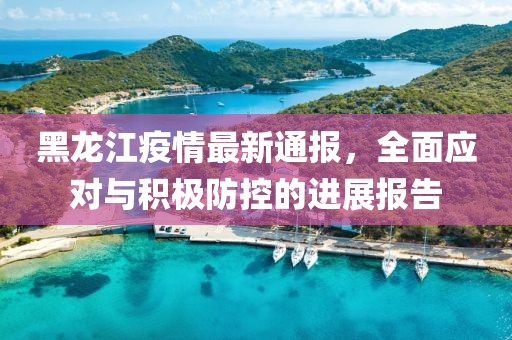 黑龙江疫情最新通报，全面应对与积极防控的进展报告