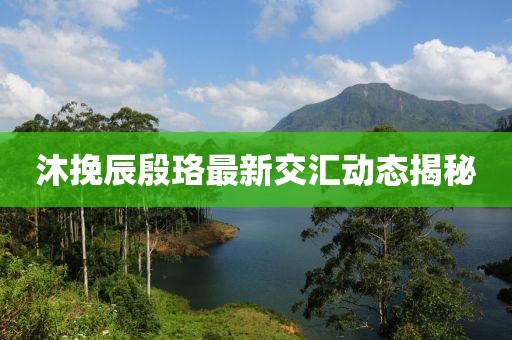沐挽辰殷珞最新交汇动态揭秘