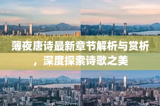 薄夜唐诗最新章节解析与赏析，深度探索诗歌之美