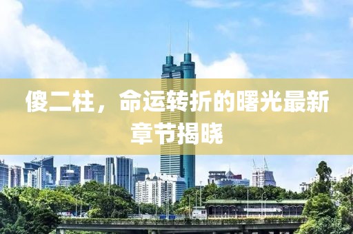 傻二柱，命运转折的曙光最新章节揭晓