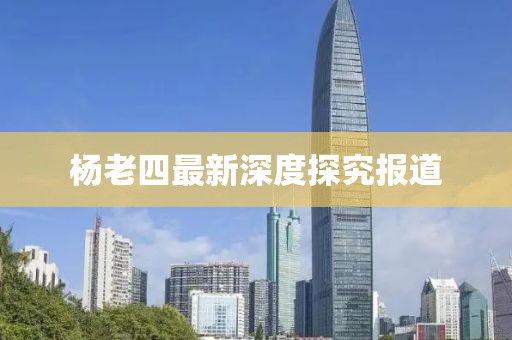 杨老四最新深度探究报道