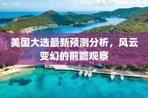 美国大选最新预测分析，风云变幻的前瞻观察