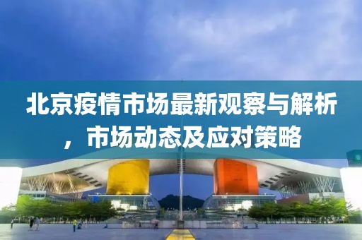 北京疫情市场最新观察与解析，市场动态及应对策略