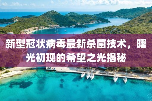 新型冠状病毒最新杀菌技术，曙光初现的希望之光揭秘