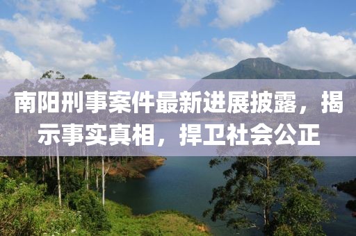 南阳刑事案件最新进展披露，揭示事实真相，捍卫社会公正