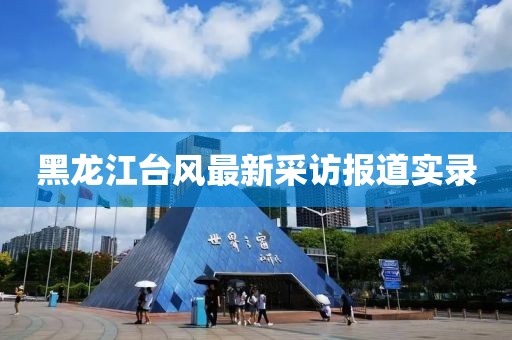 黑龙江台风最新采访报道实录