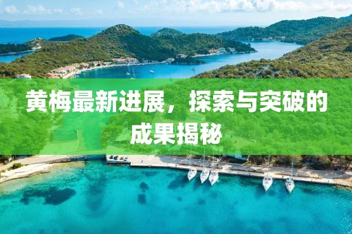 黄梅最新进展，探索与突破的成果揭秘