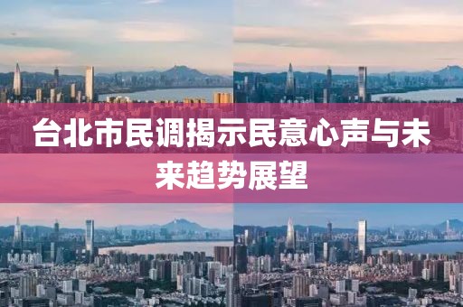 台北市民调揭示民意心声与未来趋势展望