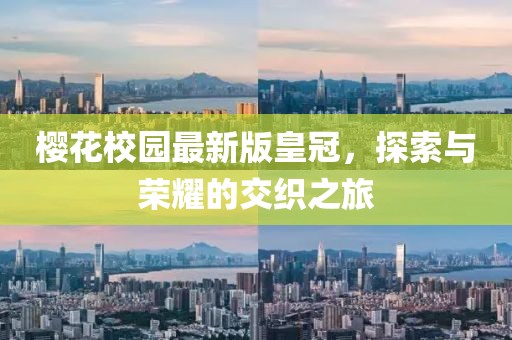 泽城美雪 第40页