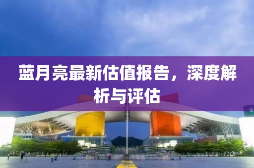 蓝月亮最新估值报告，深度解析与评估