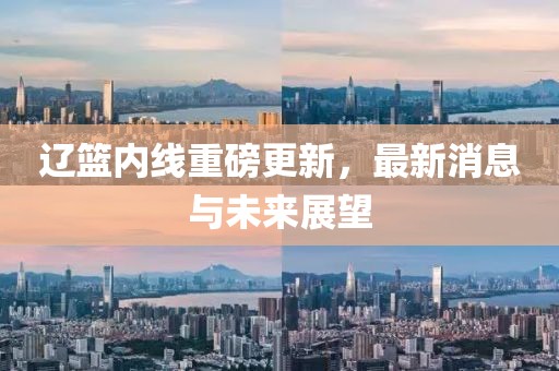 辽篮内线重磅更新，最新消息与未来展望