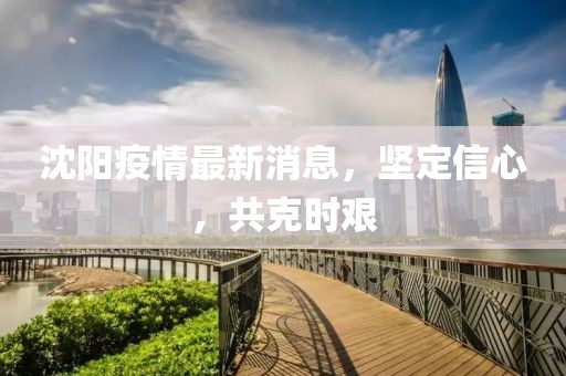 沈阳疫情最新消息，坚定信心，共克时艰