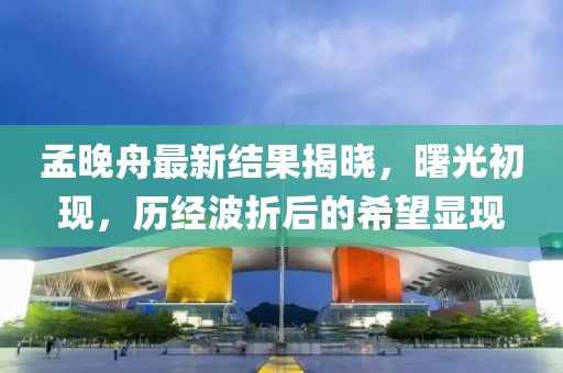 孟晚舟最新结果揭晓，曙光初现，历经波折后的希望显现