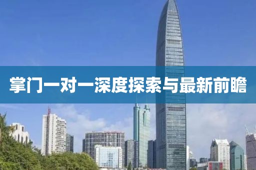 掌门一对一深度探索与最新前瞻