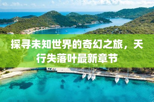 探寻未知世界的奇幻之旅，天行失落叶最新章节